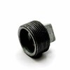 Thrifco Plumbing 2 Inch Galvanized Steel Plug 5218097